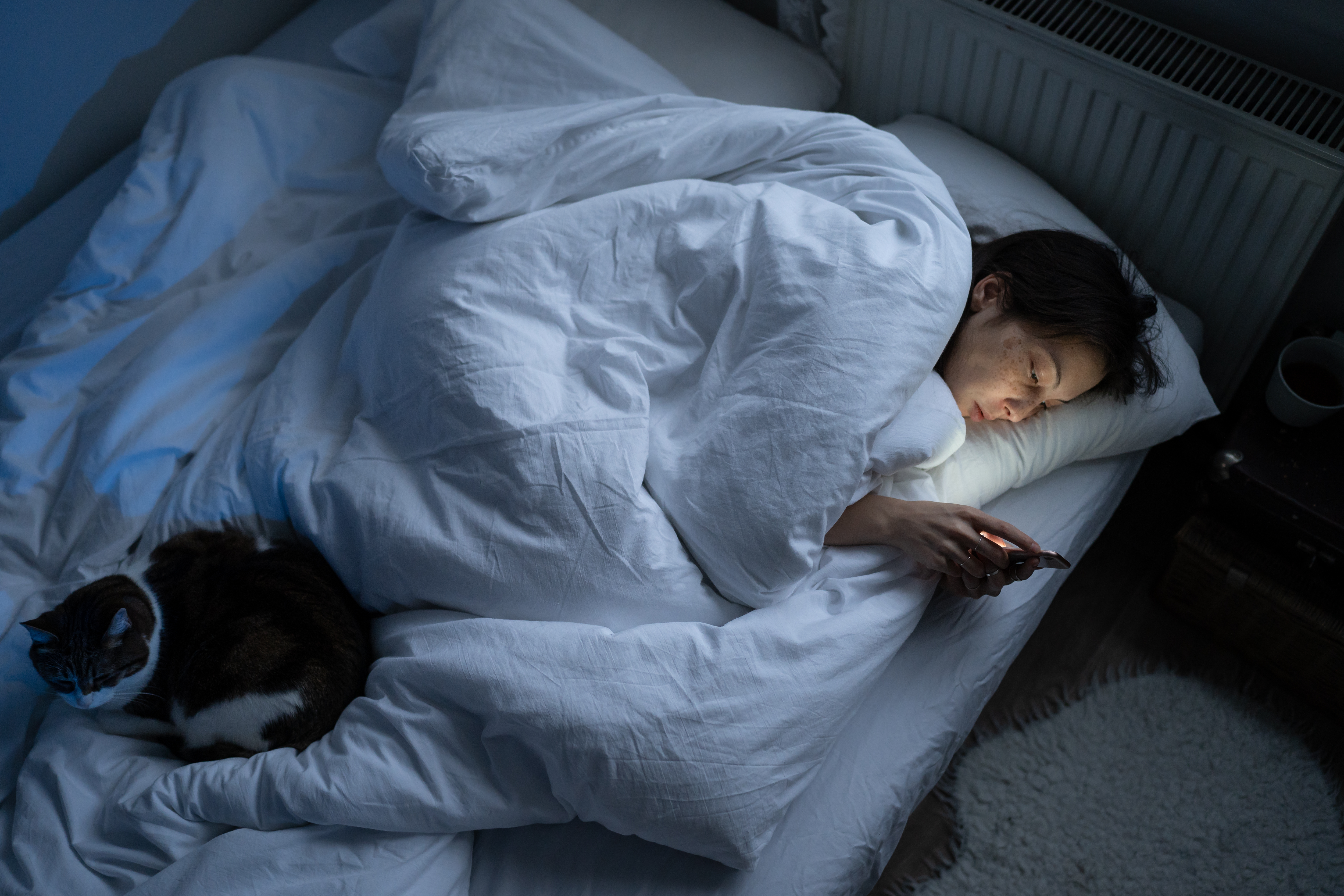Découvrez comment votre corps vous signale qu'il est temps de dormir : baisse de température, ralentissement des mouvements et besoin de confort.